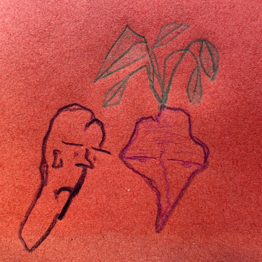 5/27/2026