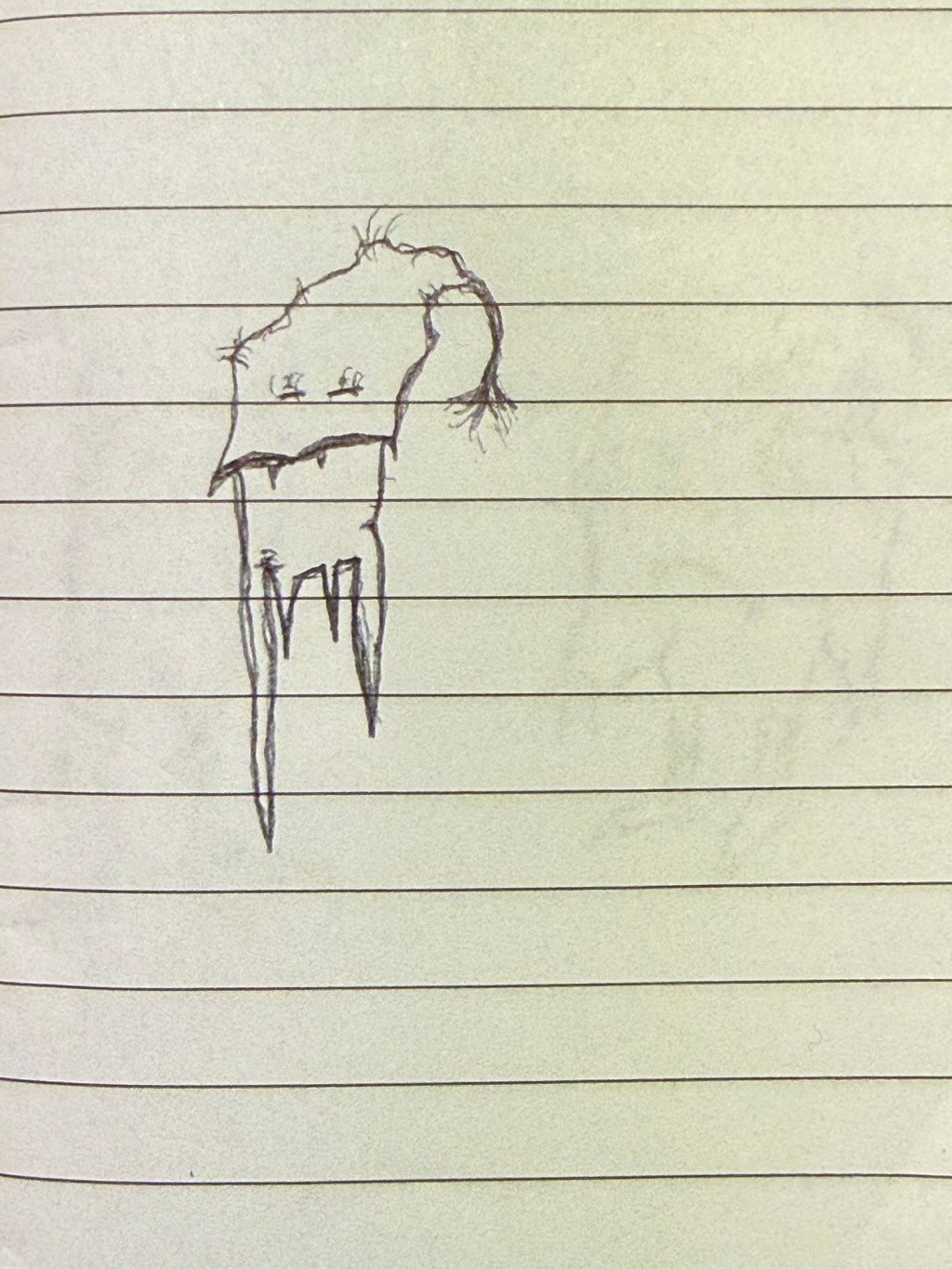 6/20/2026