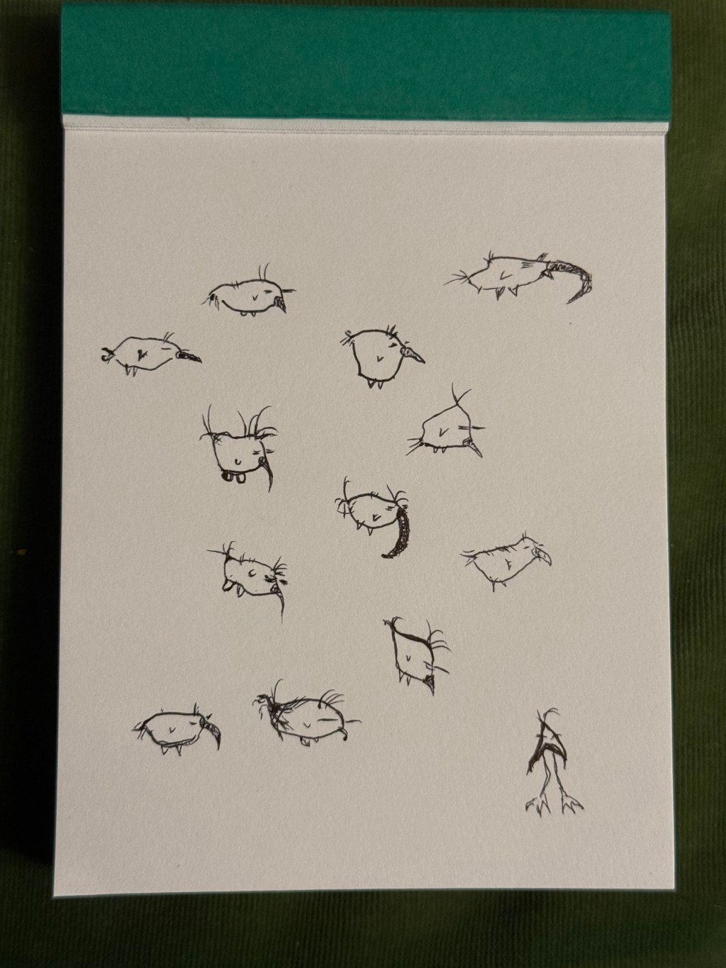 9/17/2026